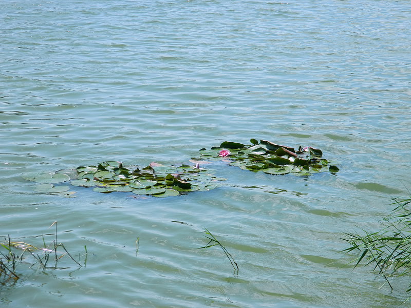 озеро великое глубокое город
